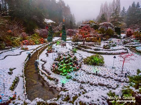 Vadym Graifer | Snow Day at The Butchart Gardens