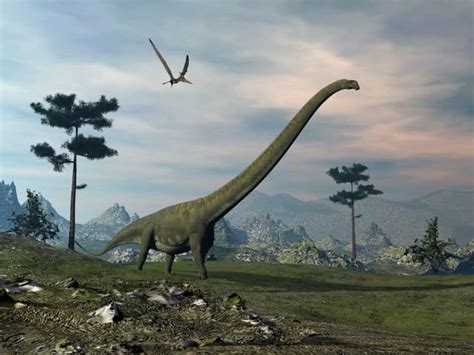 What Are Long Neck Dinosaurs (Types, Size, List)? (2022)