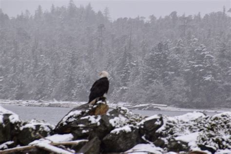 Snow in Ketchikan – Long Distance Cruising