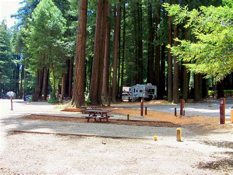 Santa Cruz Redwoods RV Resort - Campsite Photos