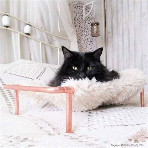 30 Unique DIY Cat Bed Ideas That Anyone Can Make - Blitsy