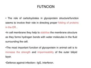 Glycoprotein, lipoprotein, structure and function | PPT