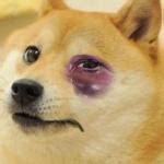 Doge Meme Generator - Imgflip