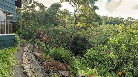 Monteverde Lodge - Suites