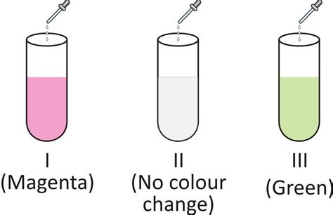 NCERT science solutions acids, bases, salts printable worksheet ...