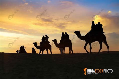 Camel Safari At Thar Desert Rajasthan At Sunset | India Stock Photo