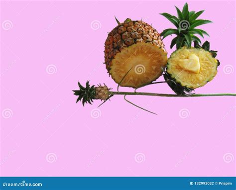 Pineapple Carving Symbol Heart Shape and Decorated with Pineapple Plants on Pink Background ...