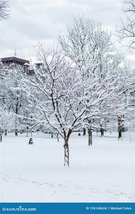 Boston winter wonderland. stock photo. Image of public - 126140634