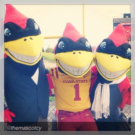 17 Best images about Iowa State Cyclones on Pinterest | Football, Isu ...