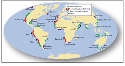 14 Locations of significant coastal upwelling regions in the world ocean | Download Scientific ...