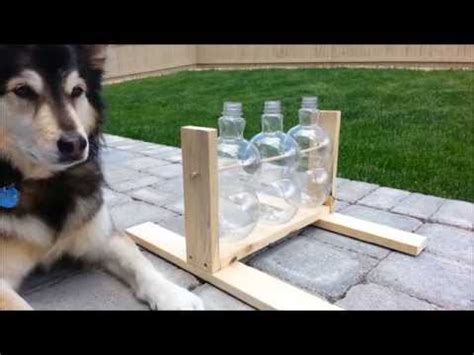 Homemade Treat Dispensing Dog Toys | Wow Blog