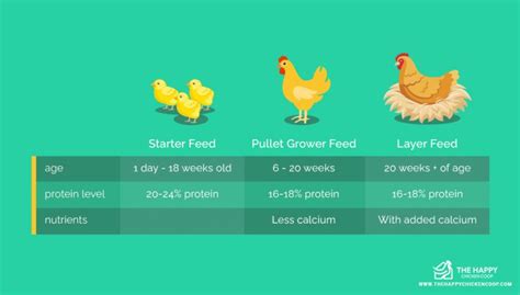 Top 7 Chicken Feed Brands in 2022 - The Happy Chicken Coop