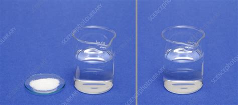 Sugar dissolves in water - Stock Image - C022/0033 - Science Photo Library