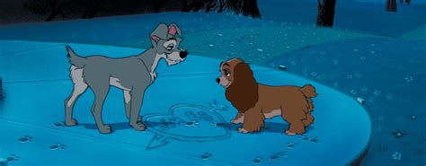 Lady and the Tramp (1955)