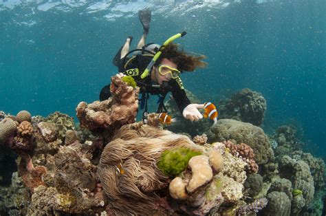 Hitting The Water Scuba Diving On The Great Barrier Reef, Cairns | Backpacker Banter