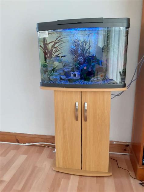 FreelyWheely: Cold water fish tank and pedestal