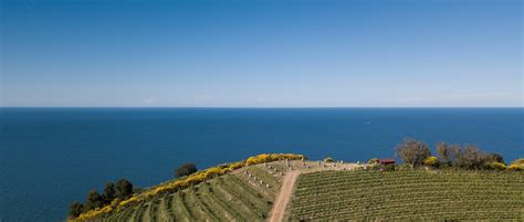 Marche Wine Region Guide » Italian Wine Regions » CellarTours