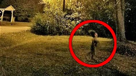 12 Strangest Cryptid Photos - YouTube