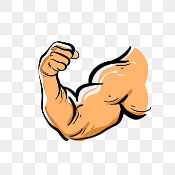 Muscle PNG Transparent Images Free Download | Vector Files | Pngtree