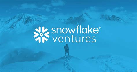 Introducing...Snowflake Ventures - Blog