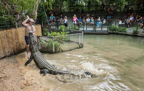 Hartley's Crocodile Adventures | Cairns & Great Barrier Reef