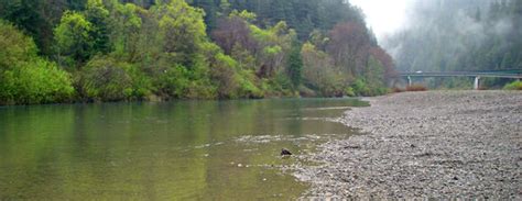 Eel River Fishing Report