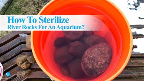 Are River Rocks Aquarium Safe? [Choosing The Right Stones]