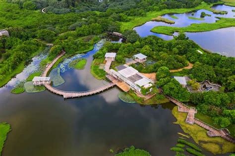 Hong Kong Wetland Park: A Complete Guide For Vacationers