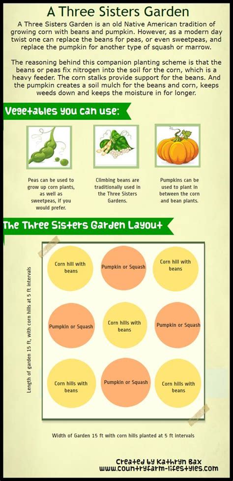 A New Twist on the Three Sisters Garden Layout, Planting Methods and History