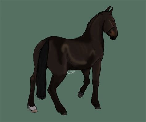 sso BelgianWarmblood [ request ] by CringeKid10 on DeviantArt