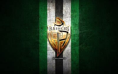 Download wallpapers Prince Albert Raiders, golden logo, WHL, green ...