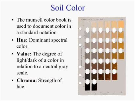 Soil colour