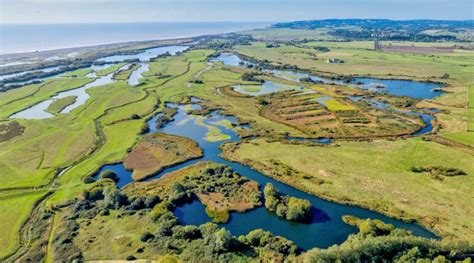 Dog walking at Rye Harbour Nature Reserve | Bed & Bone Home Dog Boarding