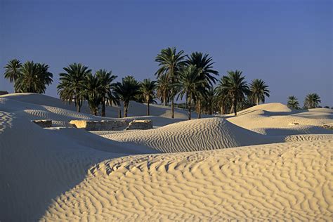 La Sahara Tunisienne: Douz véritable porte du désert Tunisienne et nord ...