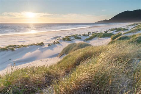 Nehalem State Park sunset, Oregon - Alan Majchrowicz Photography