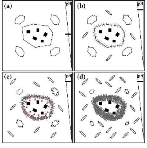 Scheme of the pozzolanic reaction process: a Initial state (portlandite... | Download Scientific ...