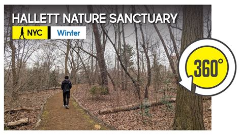 Hallett Nature Sanctuary at Central Park | 360° NYC - YouTube