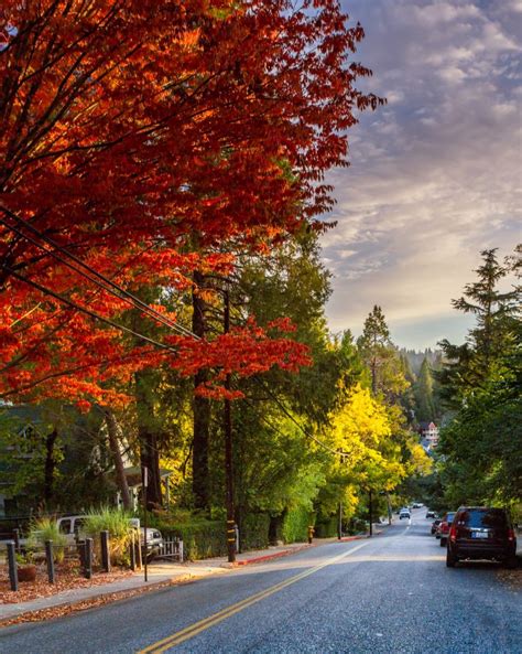 Best Fall Colors In California - Our Vote Is For Nevada County