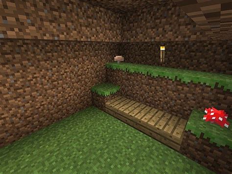 Deluxe Dirt House Minecraft Map