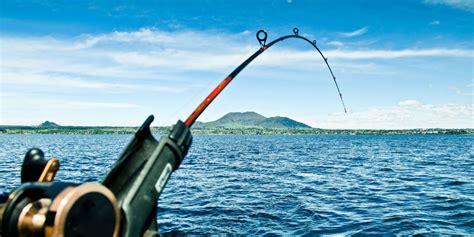 13 Best Fishing Poles in 2018 - Fishing Poles, Rods, and Combo Kits