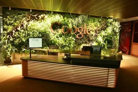 Pin by Julia Chady on Reception Desks | Living green walls, Cafe ...