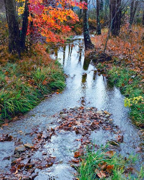 » Woods and Water JRSphotos.com