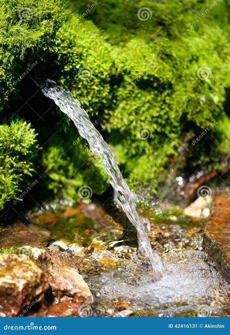 Source of spring water stock image. Image of green, closeup - 42416131