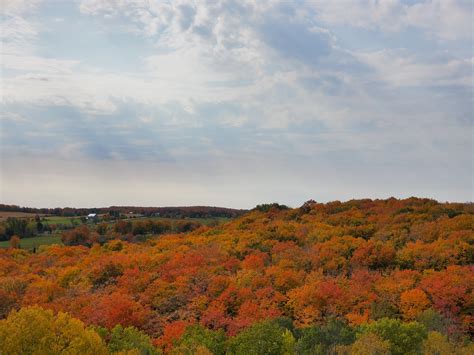 Fall Colours in Canada : r/pics