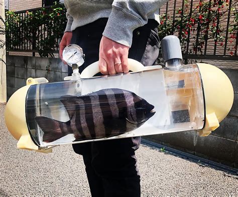 Want to Take Your Pet Fish for a Walk? There’s a Bag for That! » Design You Trust — Design Daily ...