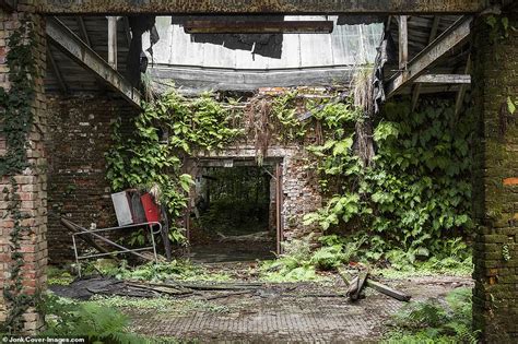 Abandoned buildings around the world now teeming with plant-life after ...