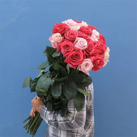 Extra Long Stemmed Rose Bouquet Delivery from Grower | Rosaholics