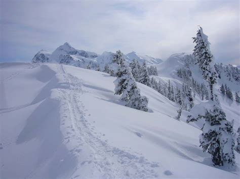 The 19 Best Washington Winter Hikes To Experience This Season (Near ...