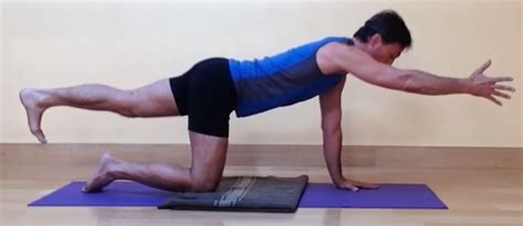 Yoga For Back Pain Relief: Bird-Dog Pose - Stick With It Yoga