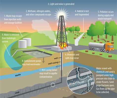 ‘Fracking’ in the dark: Biological fallout of shale-gas production ...